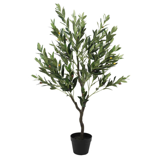 Erina Olive Tree with Olives - 125cm